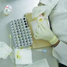 Laboratory Testing